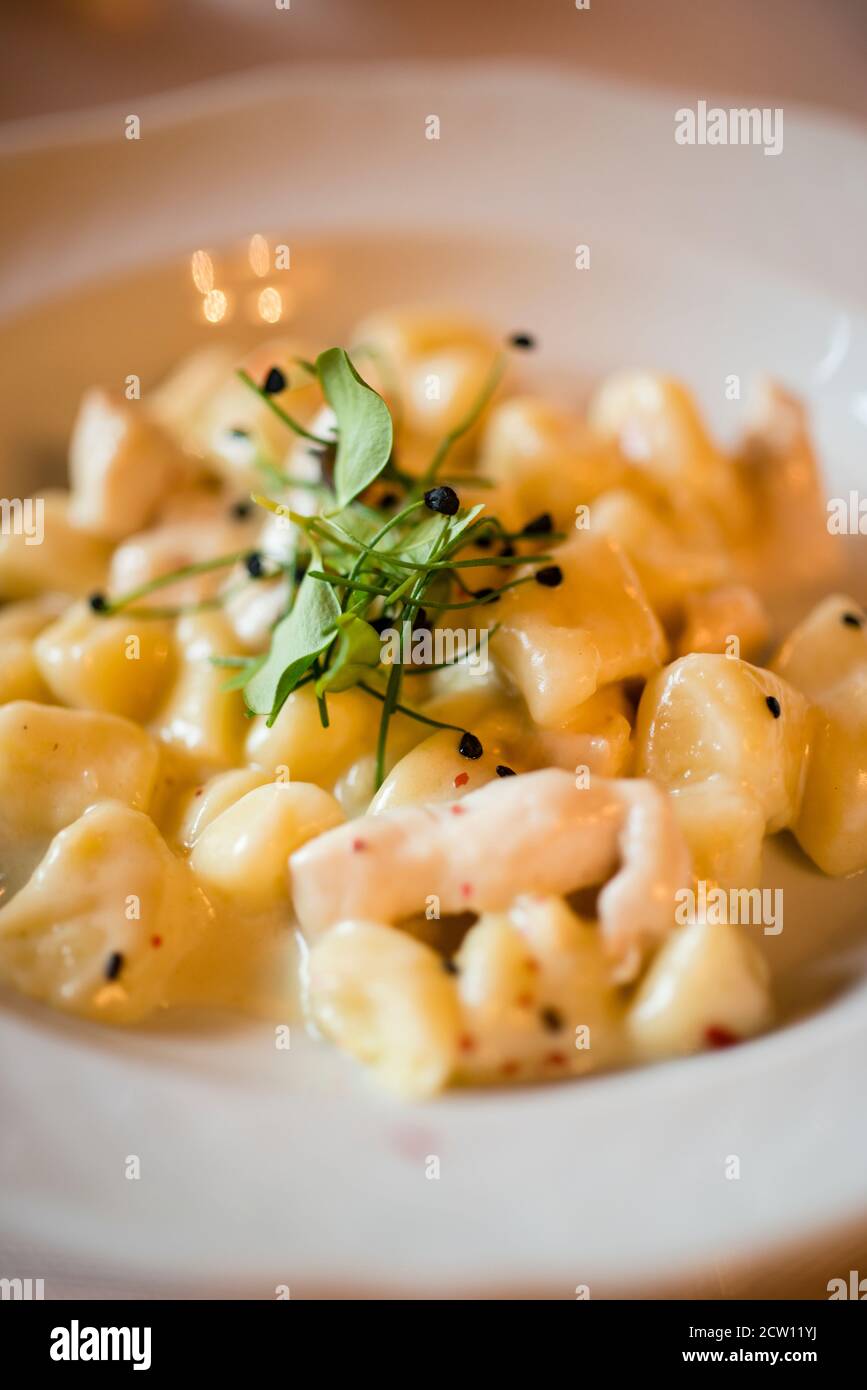 Traditional homemade Italian gnocchi potato pasta with cheese sauce Stock Photo