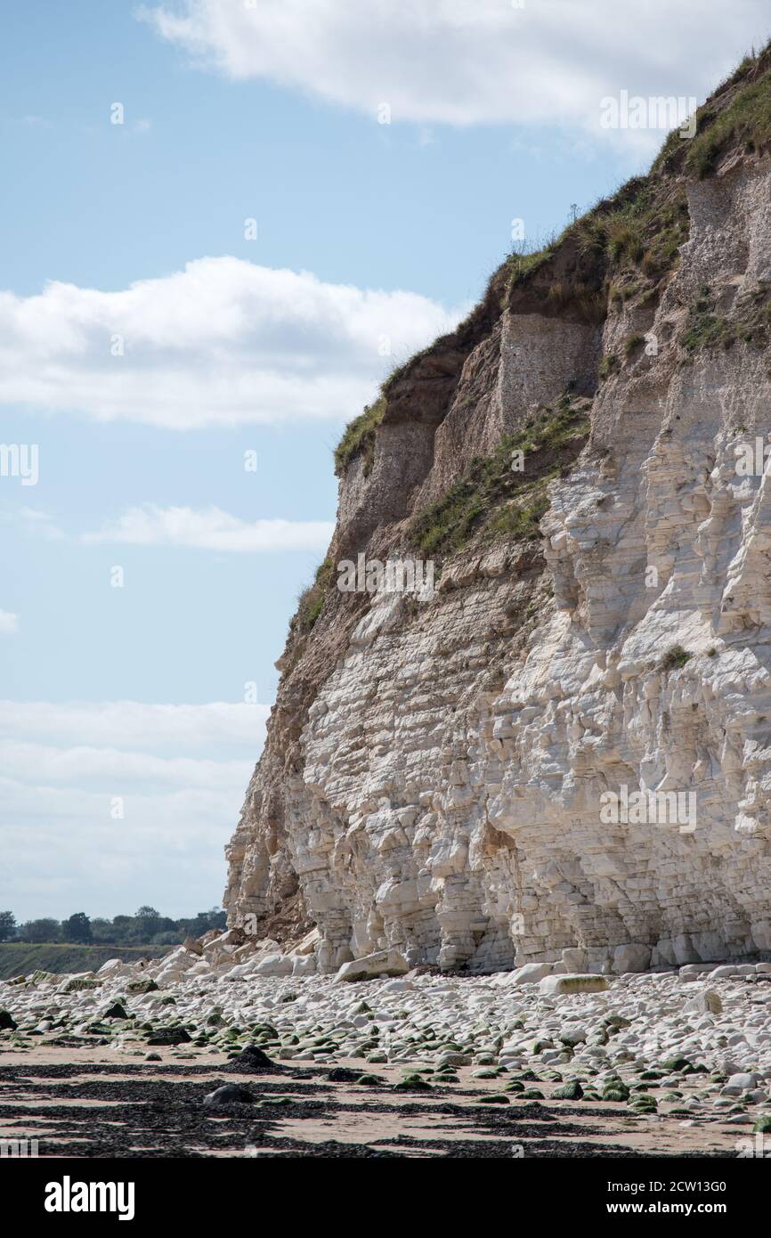 Chalkstone Cliffs  Danes Dyke Beach, Sewerby near Bridlignton UK showing effects of coastal erosion Stock Photo