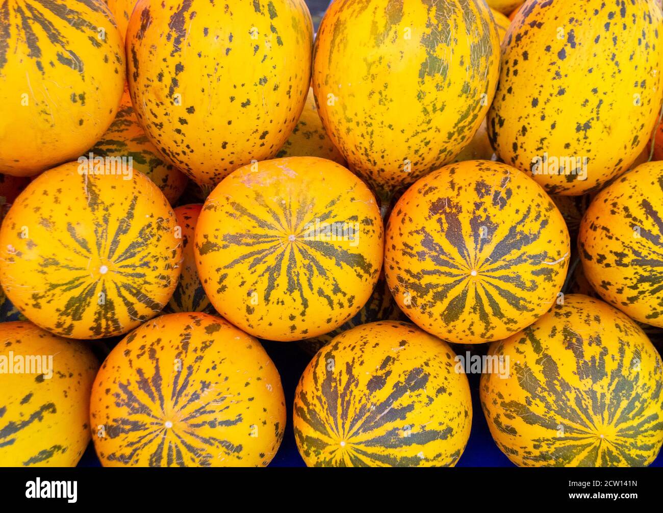 Background from yellow delicious turkish melons at farm market Stock Photo