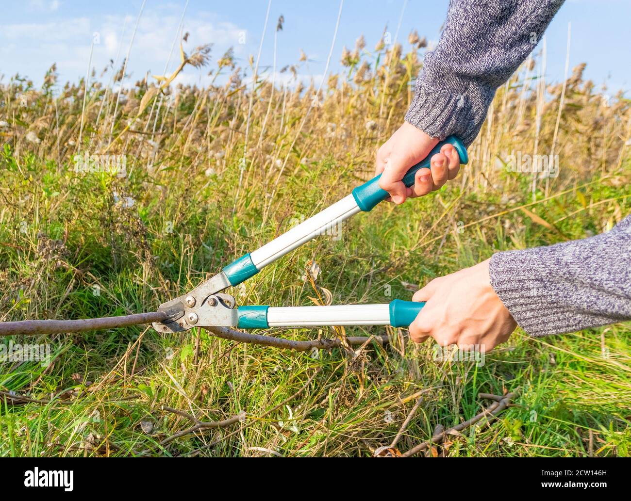 Cutting grass with scissors hires stock photography and images Alamy