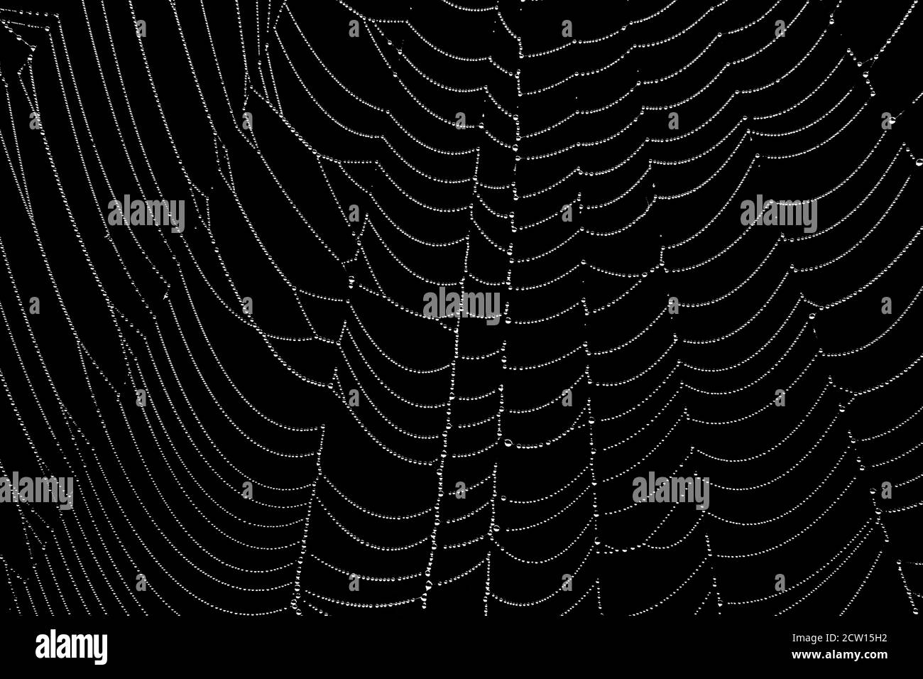 Linea web hi-res stock photography and images - Alamy