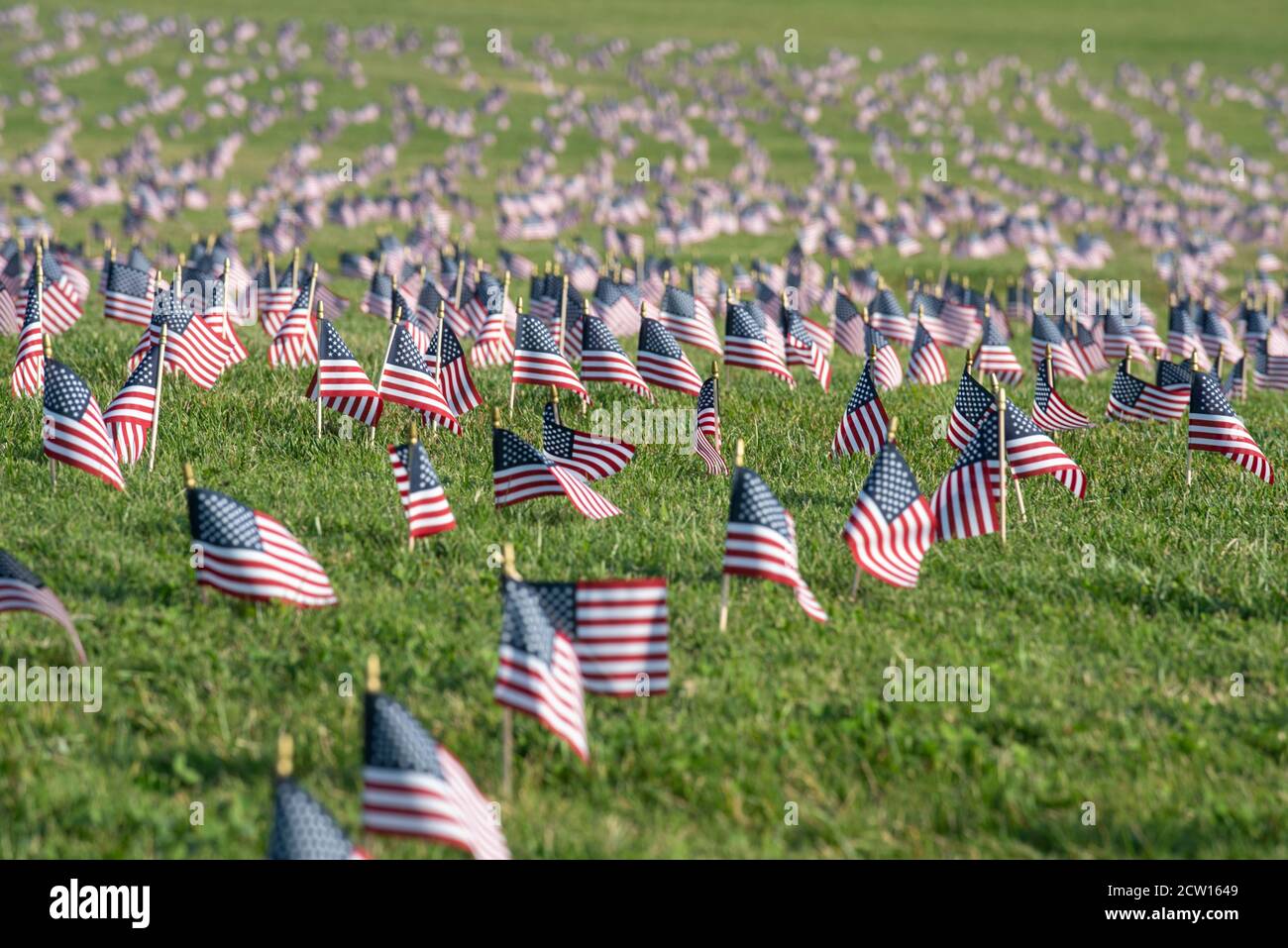 Thousands of small American flags honor the 200,000+ covid-19 deaths to date in the United States. On the National Mall in Washington, DC, September 2 Stock Photo