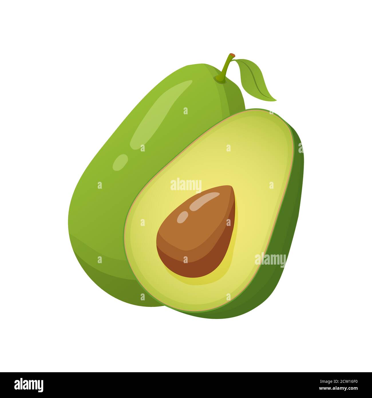 https://c8.alamy.com/comp/2CW16F0/avocado-realistic-fresh-fruit-whole-and-cut-in-half-avocados-fruits-2CW16F0.jpg