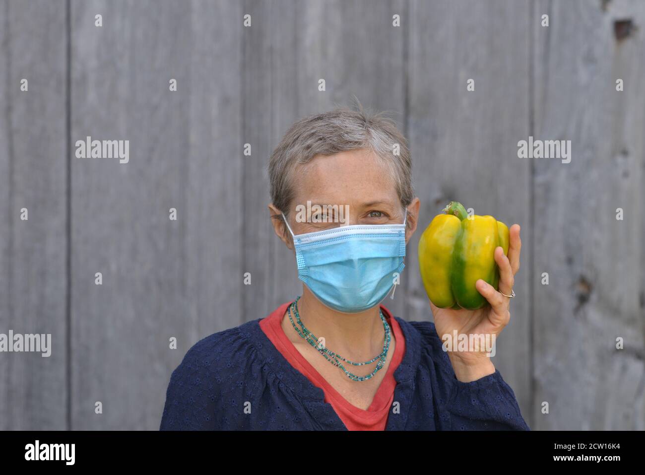Middle-aged Caucasian Canadian country woman with short hair wears a blue surgical face mask and holds a large organic bell pepper in her left hand. Stock Photo