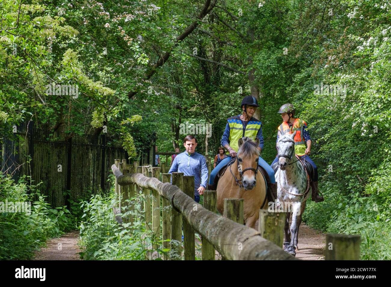 Two ladies on horseback wearing reflective safety vests, with man walking alongside next to