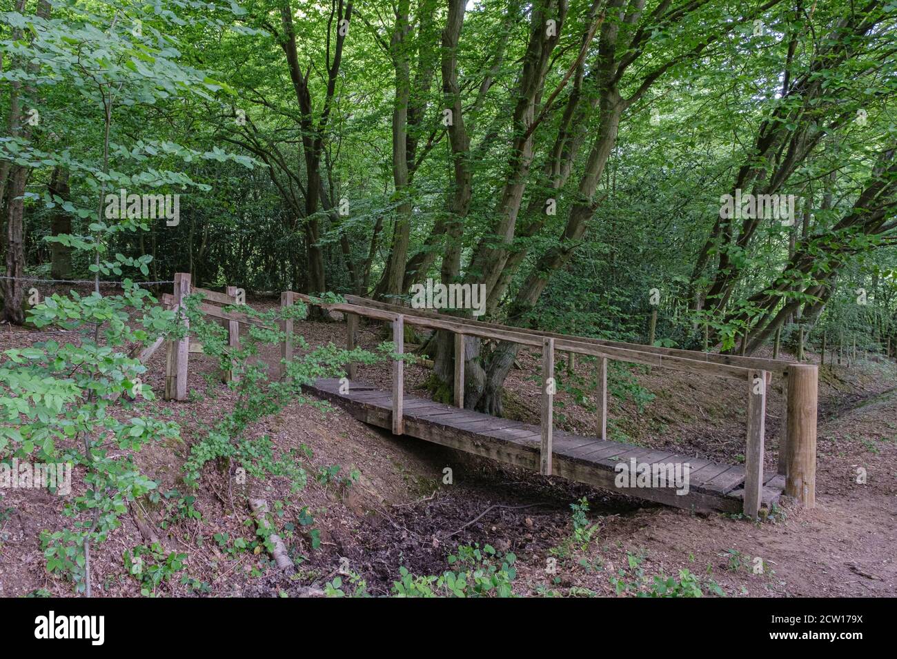 A rustic wooden bridge crosses a dry stream bed in the middle of the woods with trees & foliage. Ruislip Woods Nature Preserve, Hillingdon, London. Stock Photo