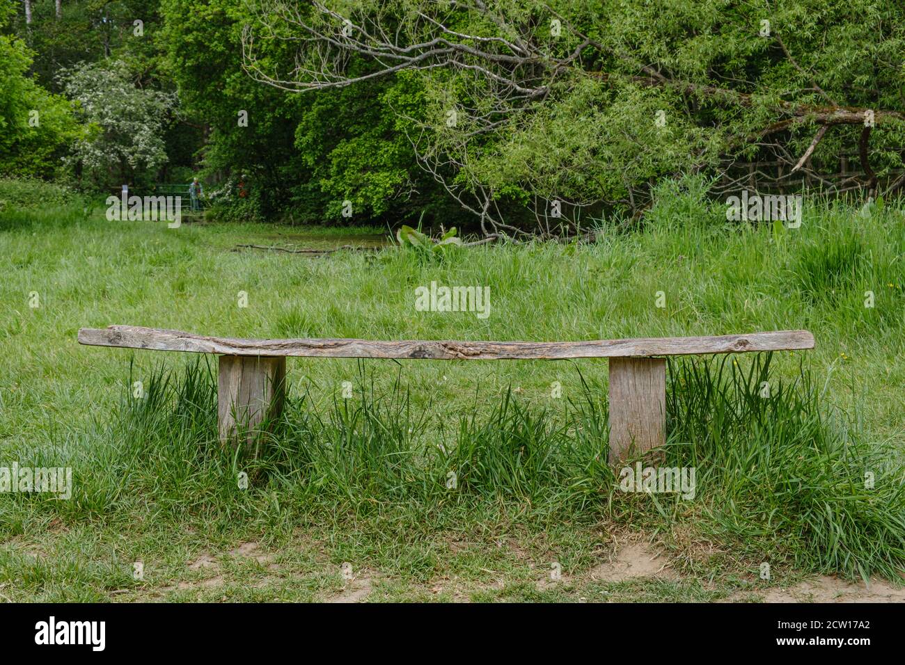 A rustic wooden plank bench on two posts in a grassy field with thick woods in background. Ruislip Woods Nature Preserve, Hillingdon, London. Stock Photo
