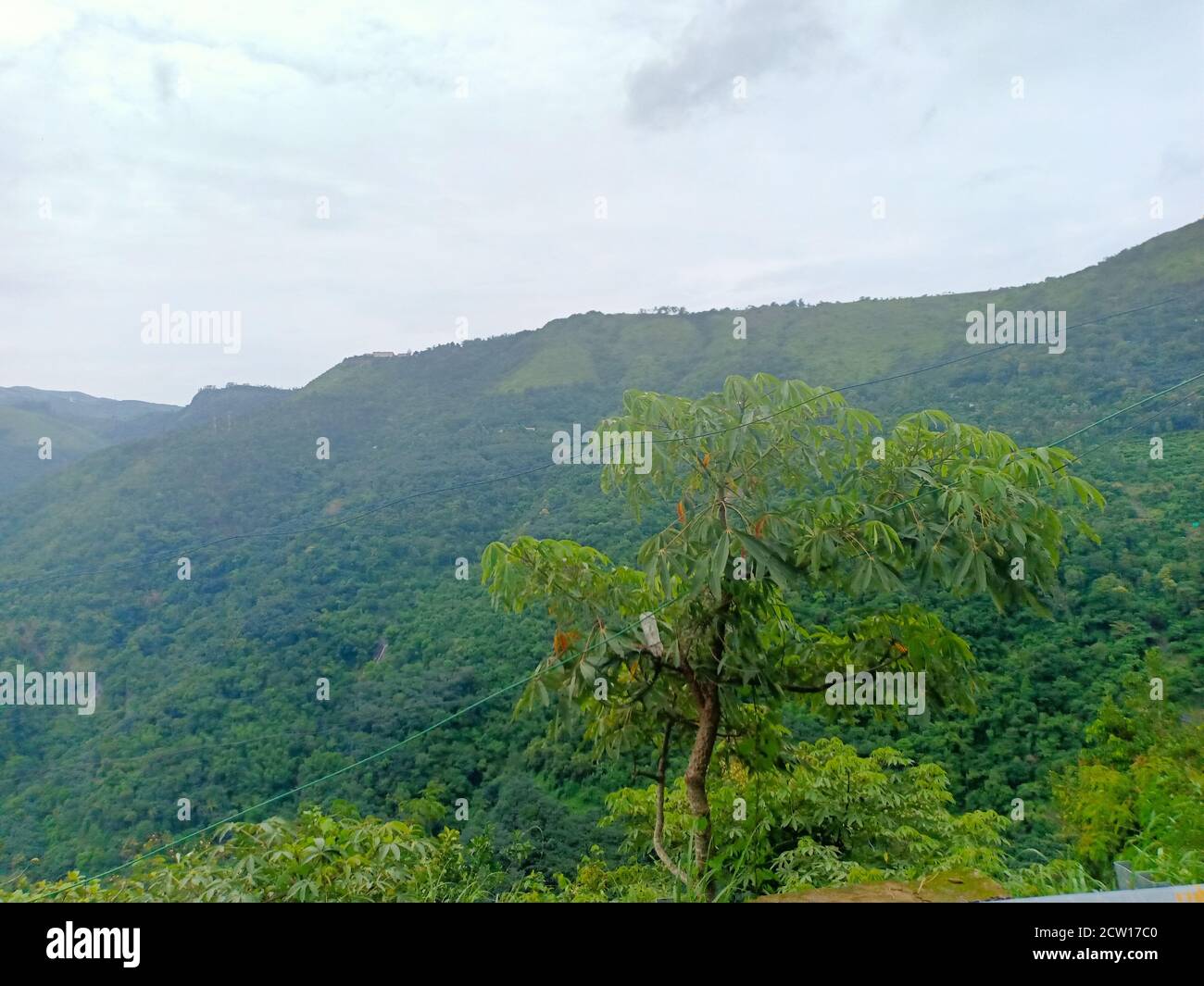 a high range mountain and trees a view from idukki india Stock Photo