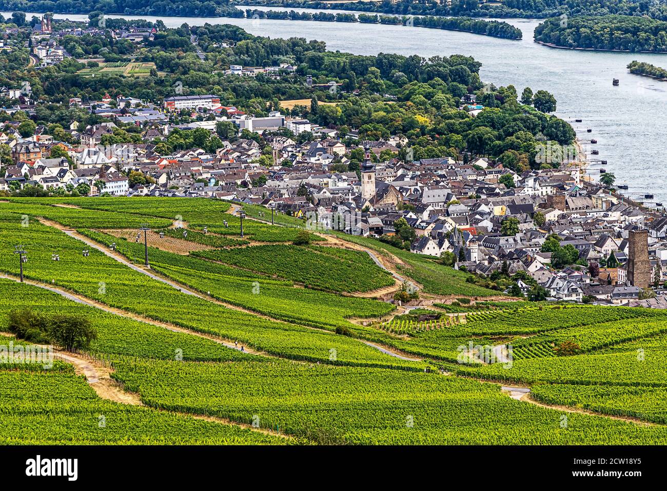 Picturesque winemaking town and vineyards on the banks of the Rhine - Rudesheim am Rhein, Upper Middle Rhine Valley, Germany Stock Photo