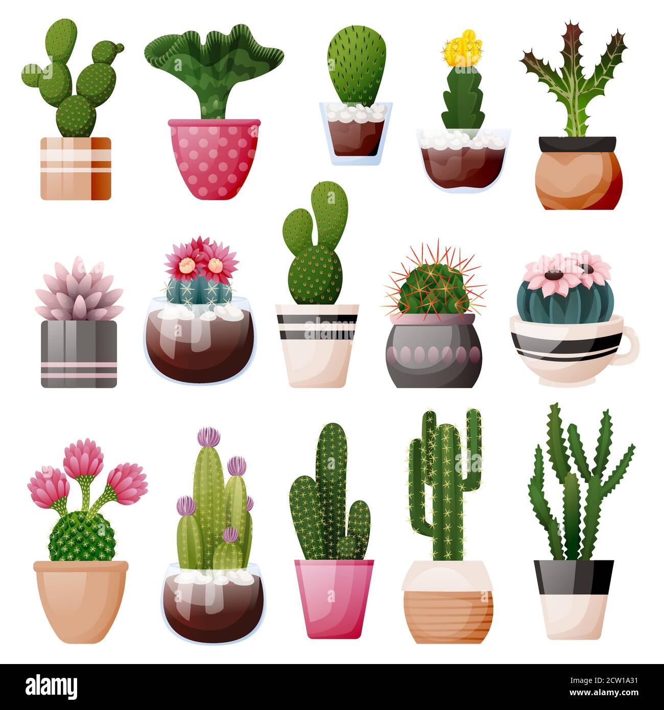 Blooming cactuses and succulents in decorative pots. Home plants, isolated on white background. Vector flat cartoon illustration of green potted house Stock Vector