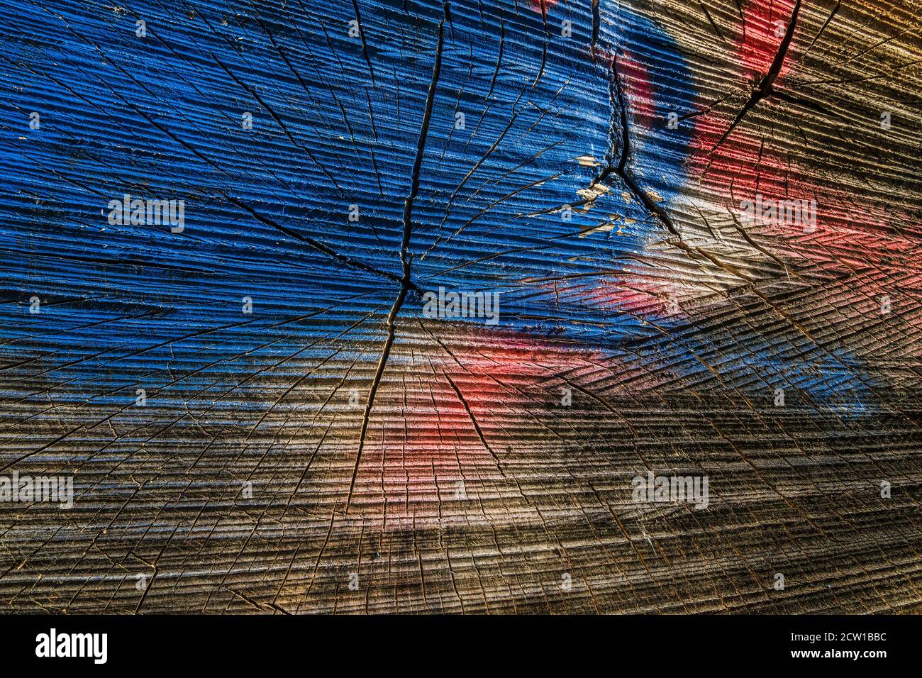 structure of a painted tree trunk Stock Photo