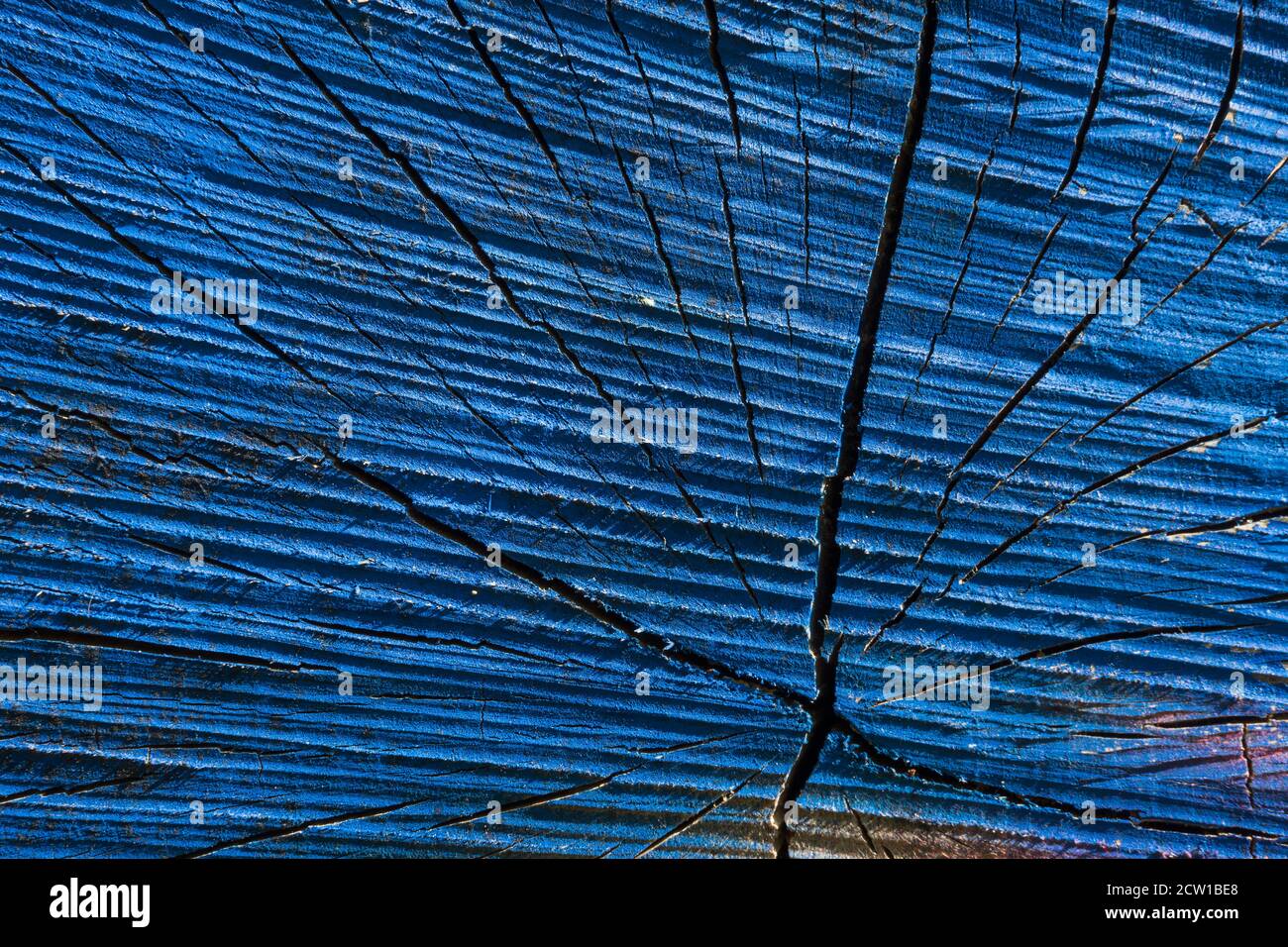 structure of a painted tree trunk Stock Photo