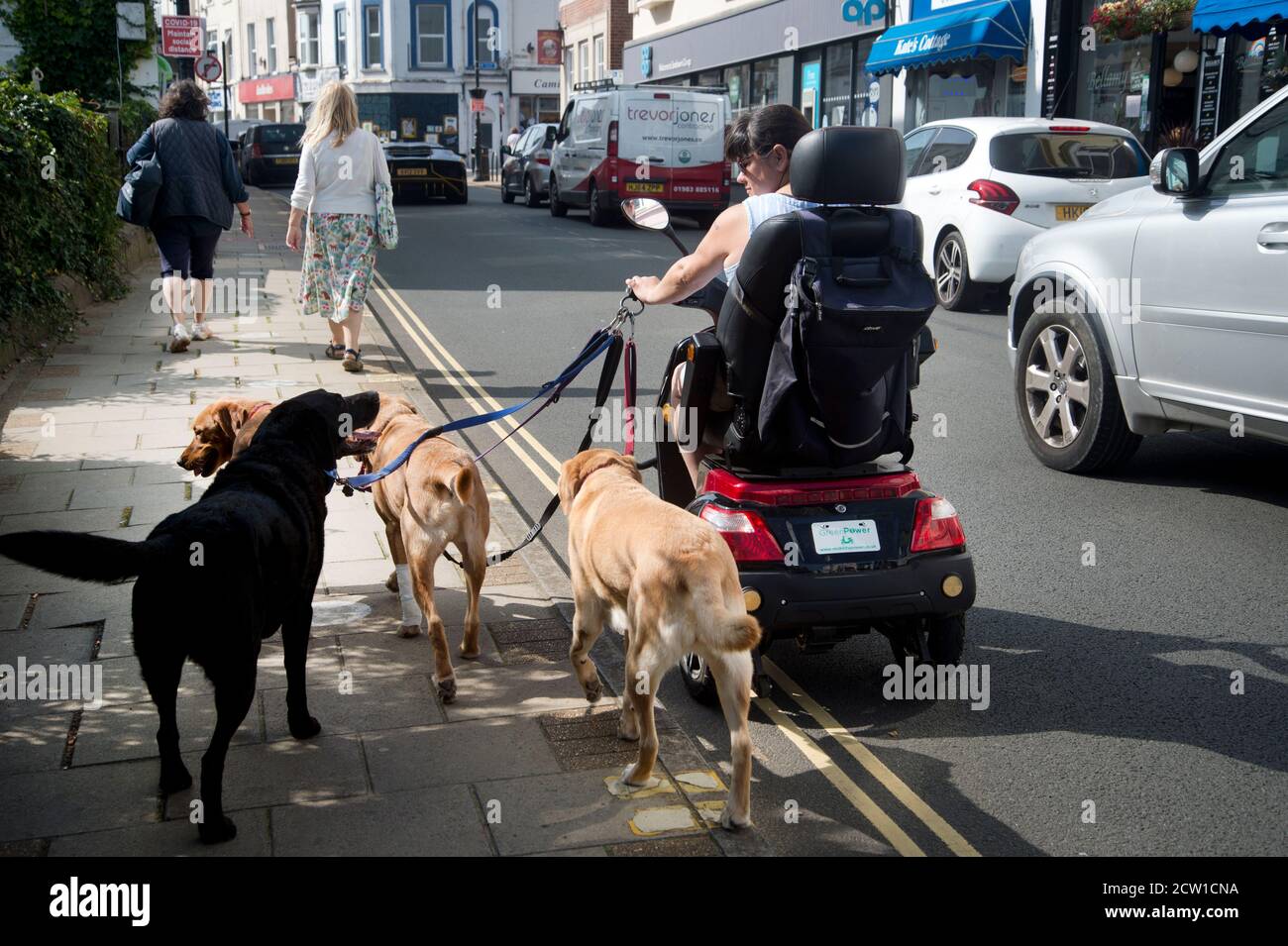 Isle of Wight September 2020. Sandown. Women driving a mobility scooter and walking her dogs