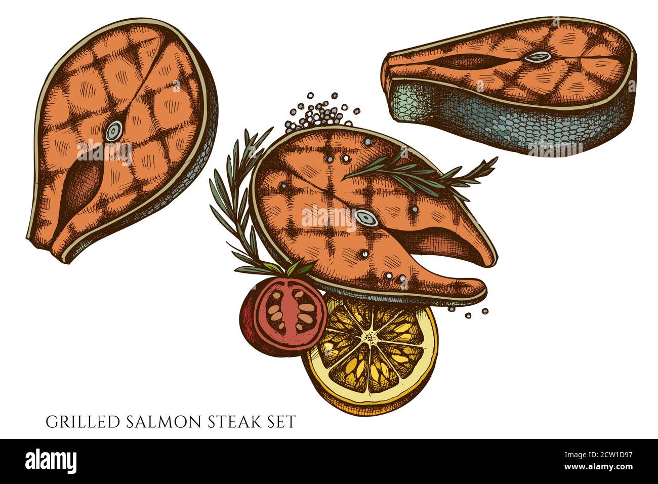 Vector set of hand drawn colored grilled salmon steak Stock Vector ...