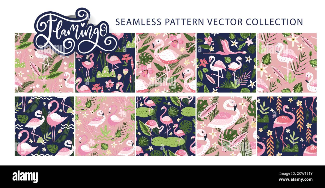 Flamingo bird seamless pattern vector set. Tropical ornate summer ...