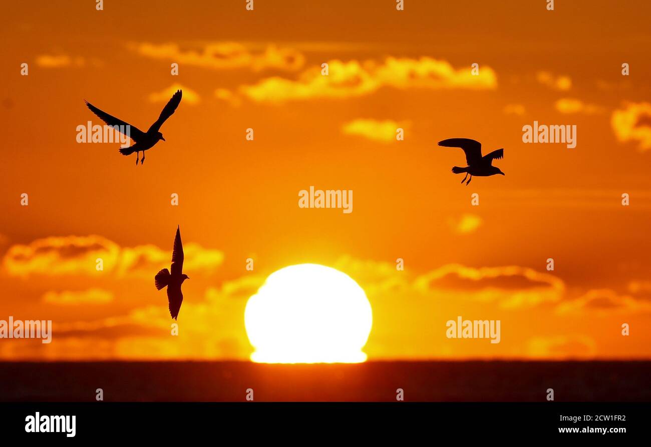 Birds are seen as the sun sets over the Bristol Channel, Weston-super-Mare, Britain, September 26, 2020. REUTERS/Peter Cziborra Stock Photo