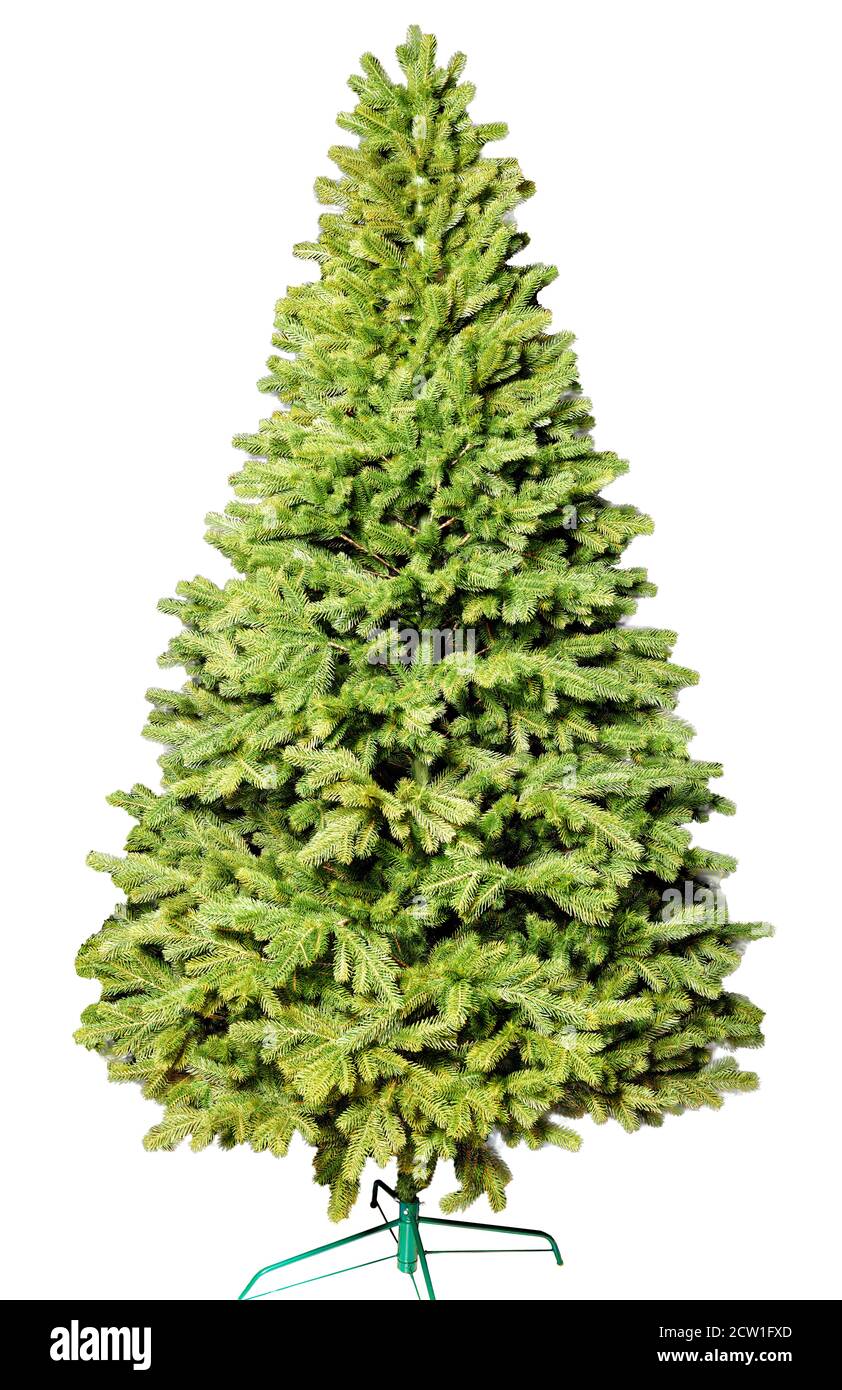 Artificial Christmas green tree without decorations on a metal stand