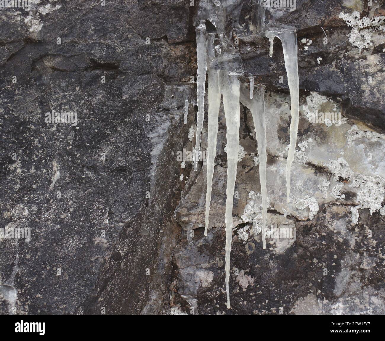 Small Icicles hanging from rock crearting a frosty winter cold mood. Stock Photo