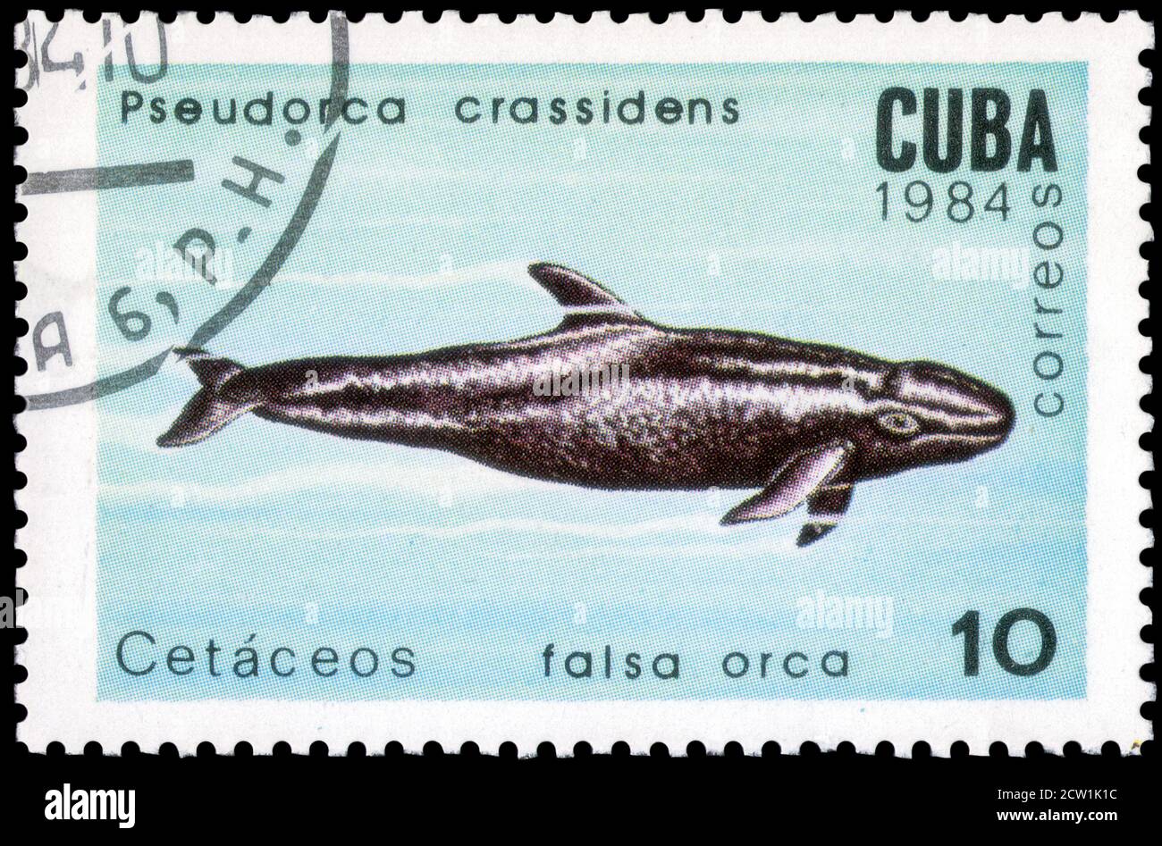 Saint Petersburg, Russia - September 18, 2020: Stamp printed in the Cuba the image of the False Killer Whale, Pseudorca crassidens, circa 1984 Stock Photo