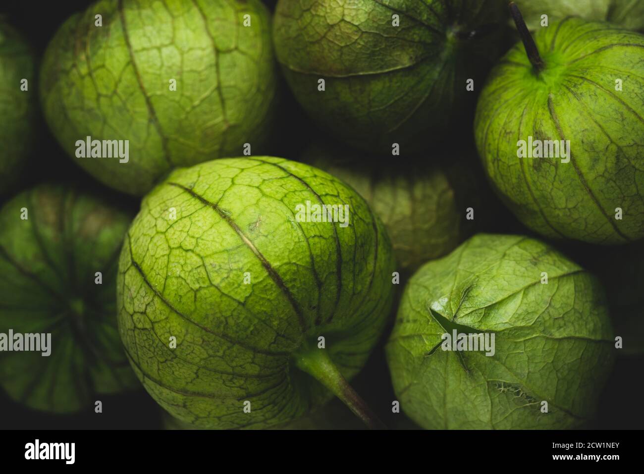 Macro close up portrait of tomatillo, Mexican husk tomato, selective focus Stock Photo