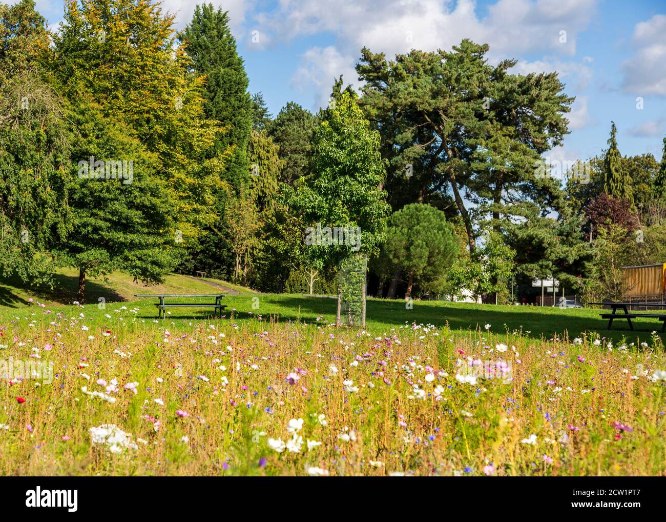 Brinton Park Kidderminster on a sunny but windy day Stock Photo Alamy