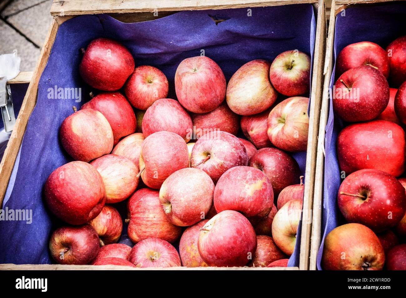 red apples in a blue crate Stock Photo Alamy