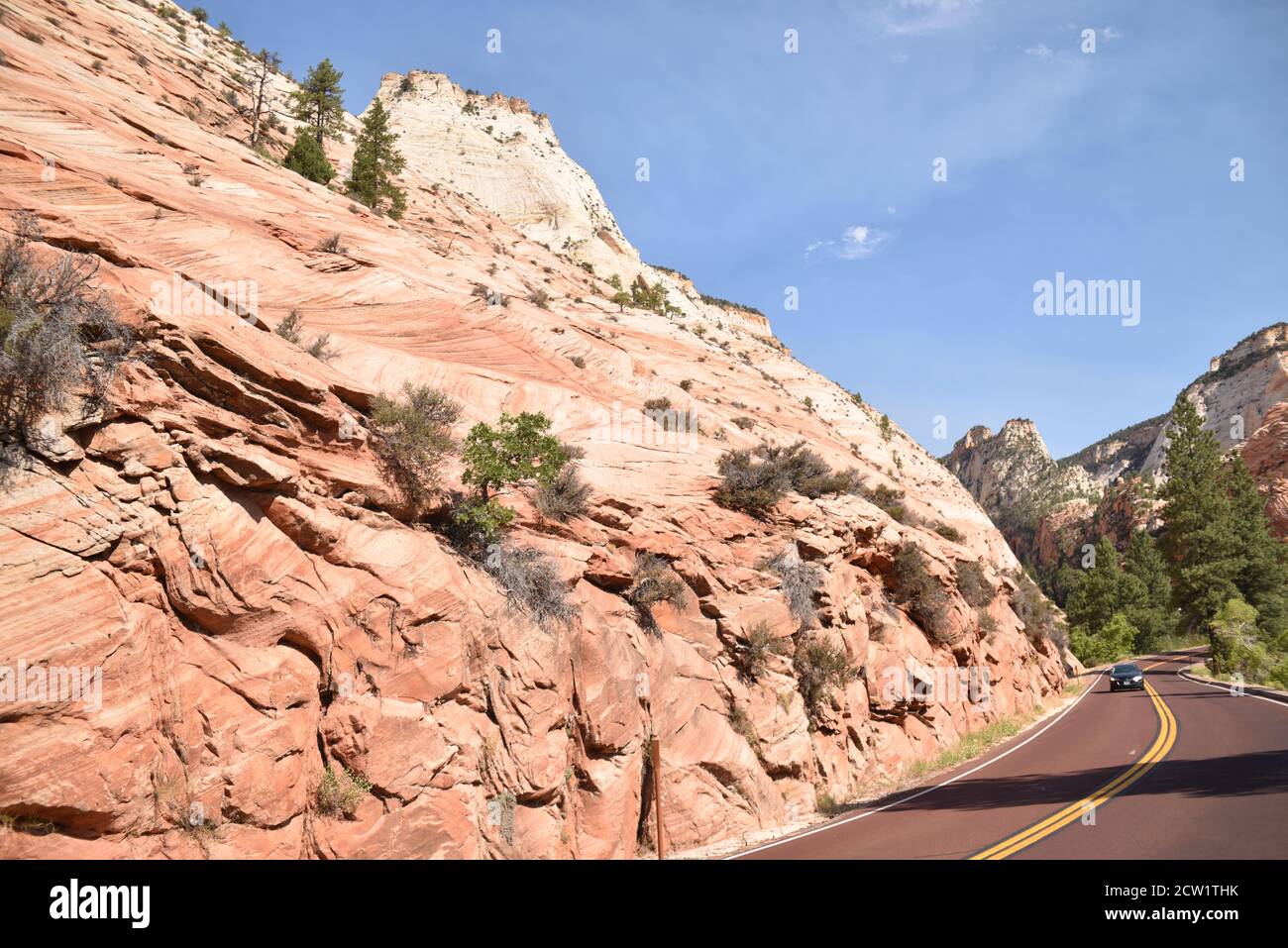 Springdale, UT. U.S.A. 8/12/2020. Zion National Park’s Virgin River ...