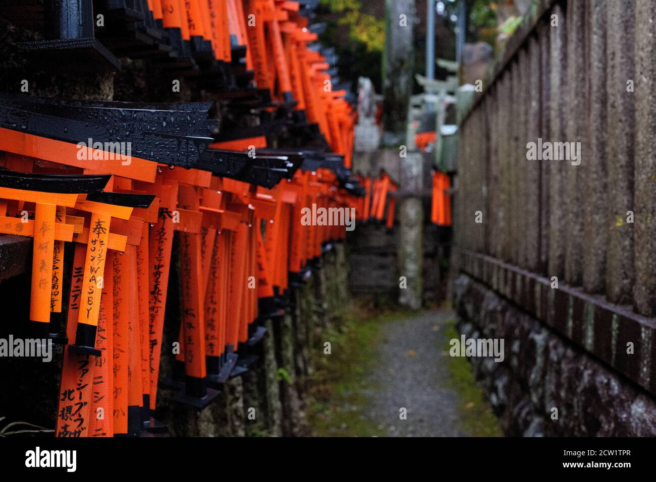 Dozens of mini torii gates hanging in cemetery at Fushimi Inari Shrine. Kyoto, Japan Stock Photo
