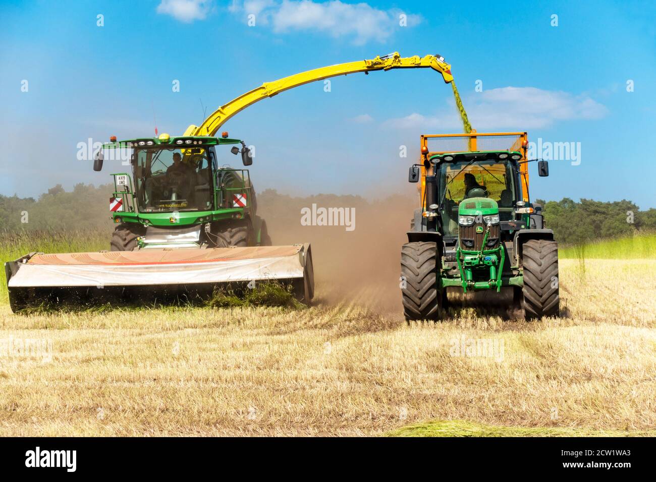 John Deere selfpropelled harvester cutting bio fuel crop Stock Photo