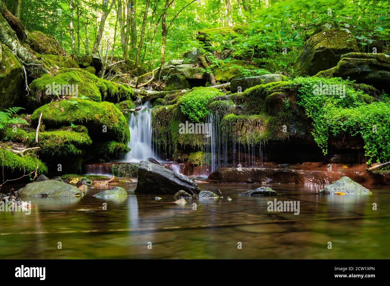 Beautiful view peaceful river hi-res stock photography and images - Alamy