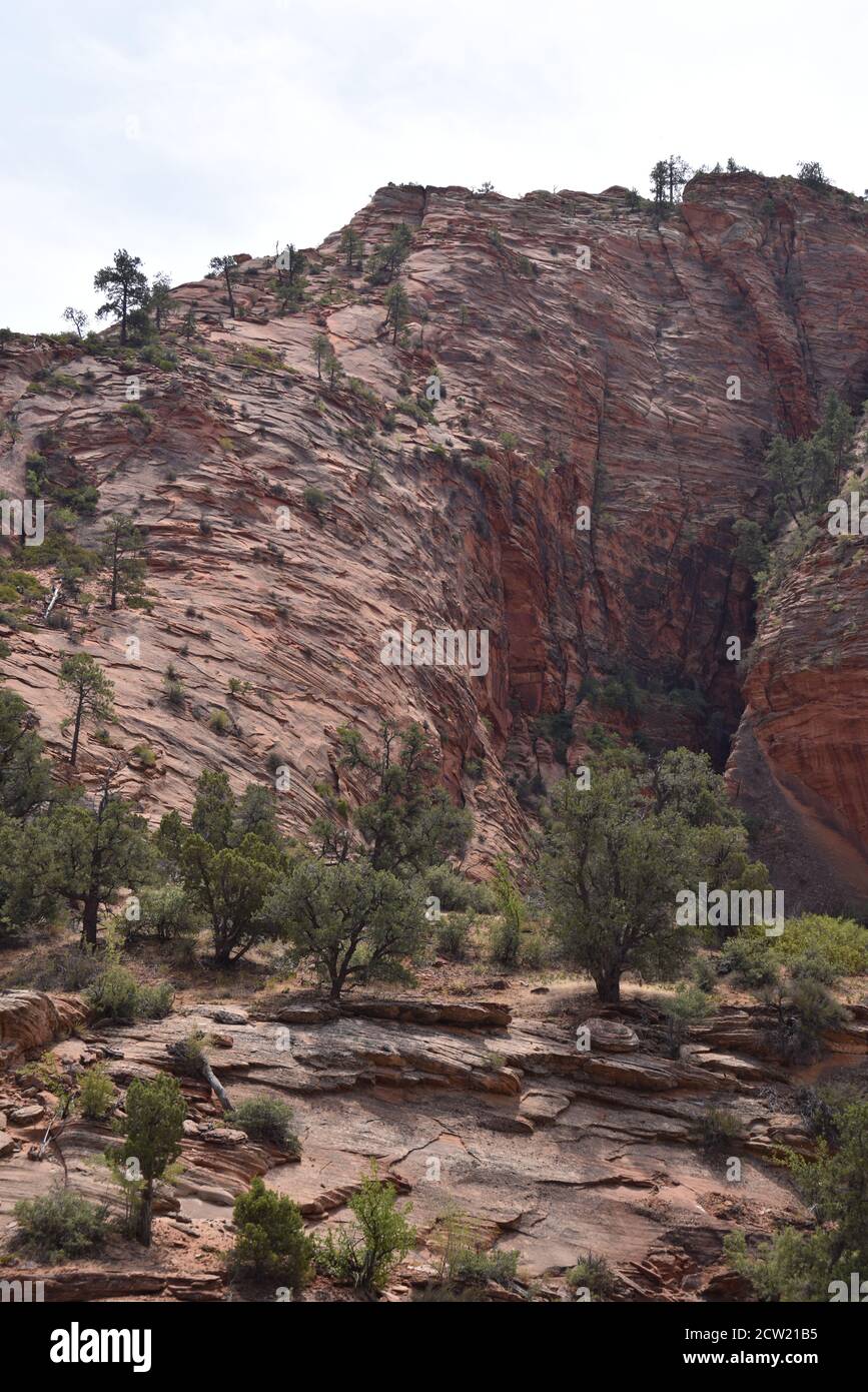 Springdale, UT. U.S.A. 8/12/2020. Zion National Park’s Virgin River ...