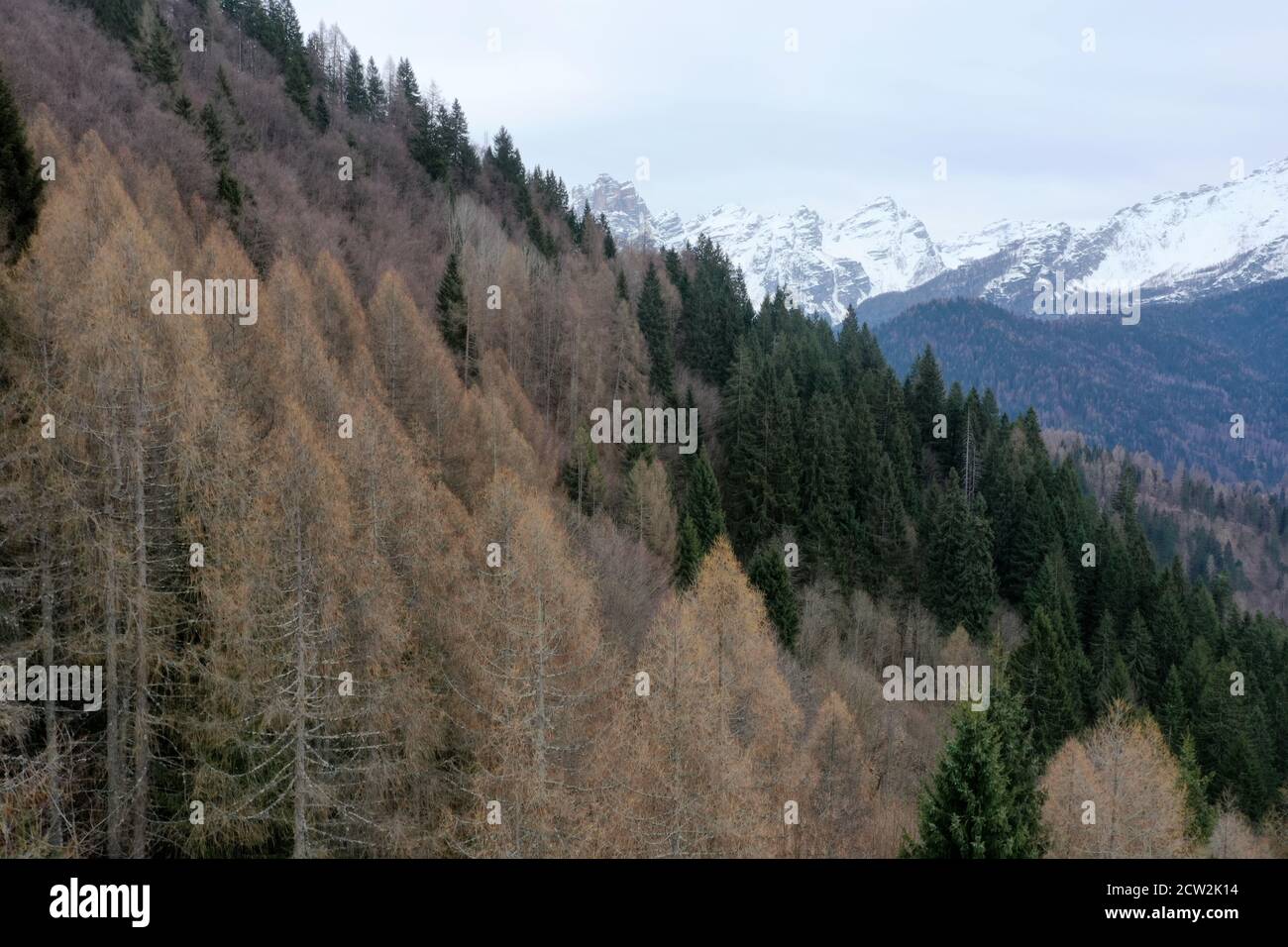 aerial snow covered mountain peaks in alps at winter Stock Photo - Alamy