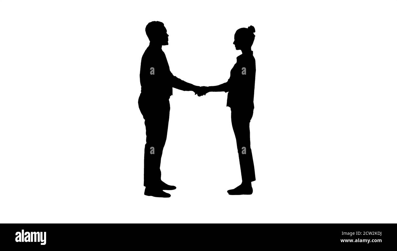 Silhouette Professional business people handshaking. Stock Photo