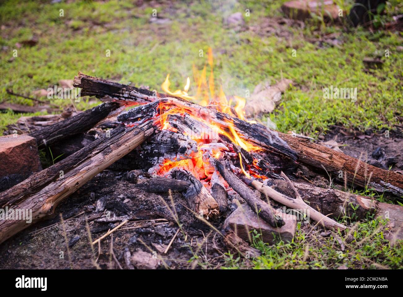 fire camping burning wood / bonfire forest Stock Photo Alamy