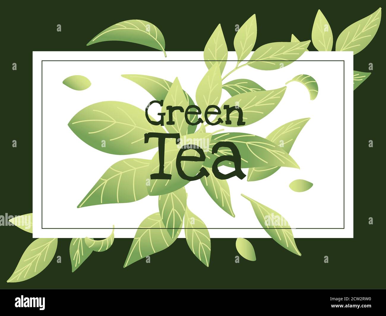 Green tea with eaves in frame design, drink breakfast beverage hot porcelain ceramic english and invitation theme Vector illustration Stock Vector