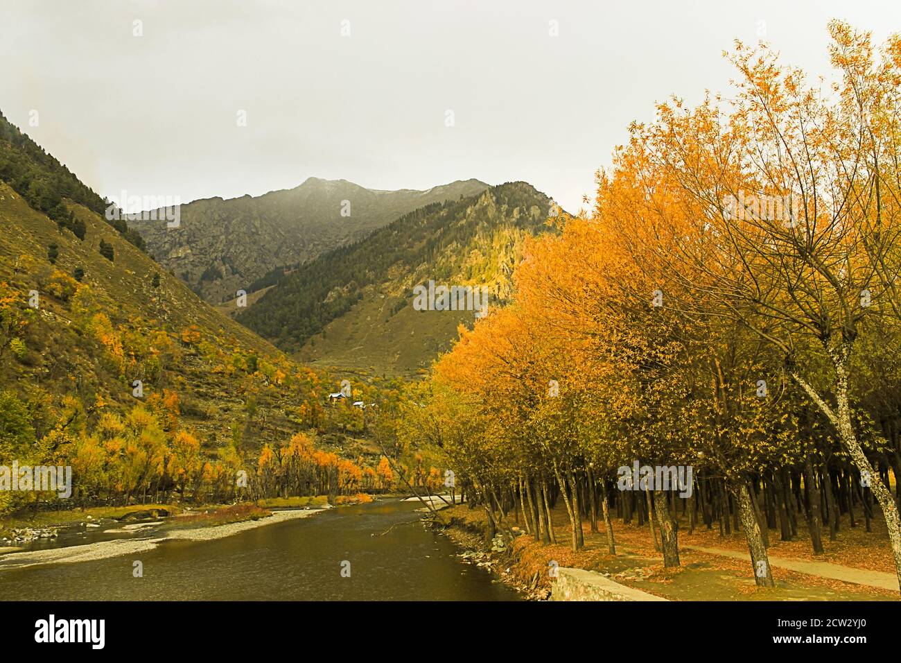 Mountains in Autumn season with water stream Stock Photo