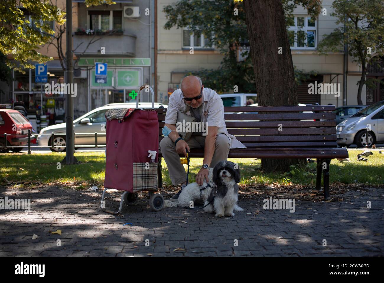 Belgrade, Serbia, Aug 2, 2020: Man with two dogs sitting on a bench in the park Stock Photo