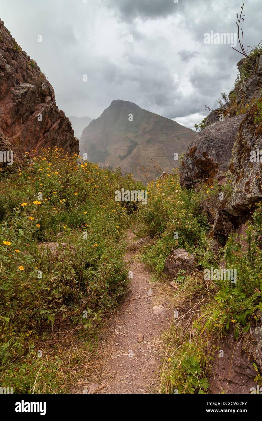 Path between the hills surrounding the Archaeological Park of Pisac, near the Vilcanota river valley, Peru. Stock Photo