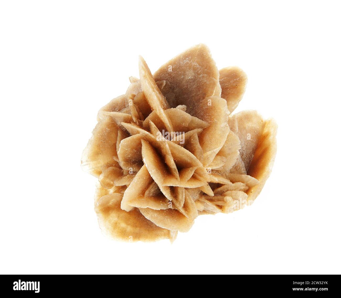 Desert rose, crystals made of the sand of Sahara and salt Stock Photo -  Alamy