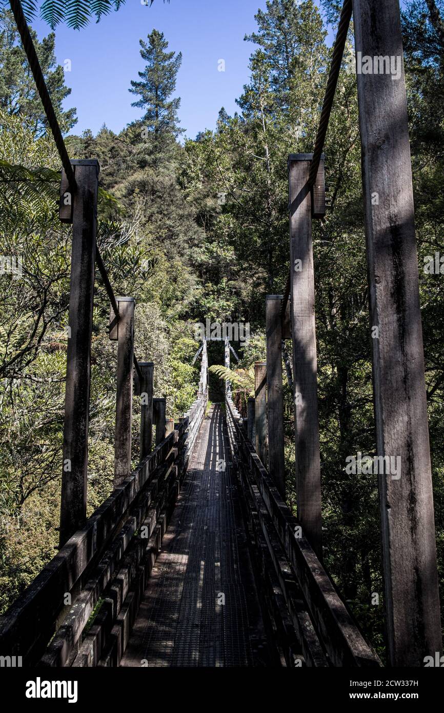 Wairoa Stream Suspension Bridge, Hunua Ranges Regional Park Stock Photo