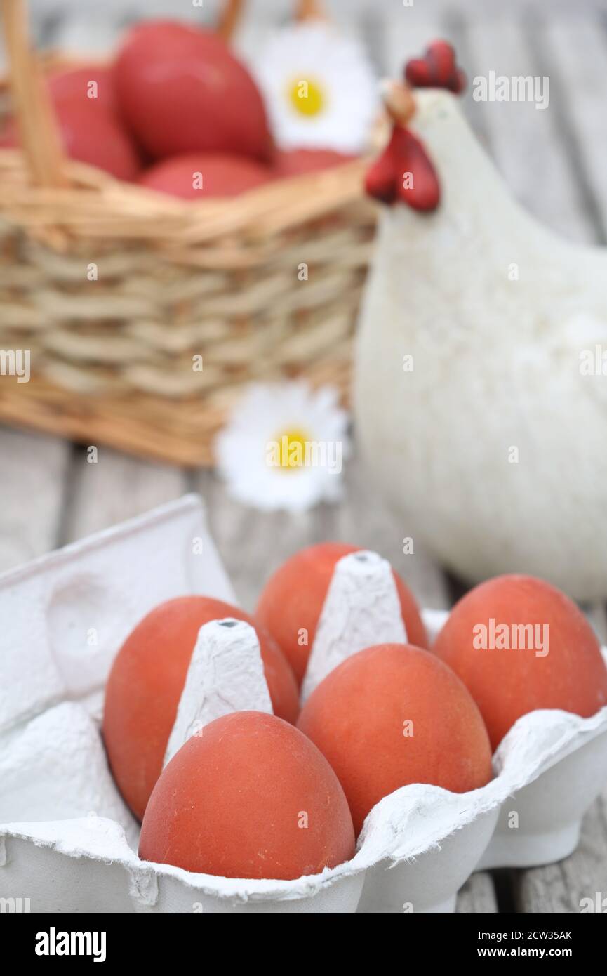 easter decoration with coloring eggs and easter chicken Stock Photo
