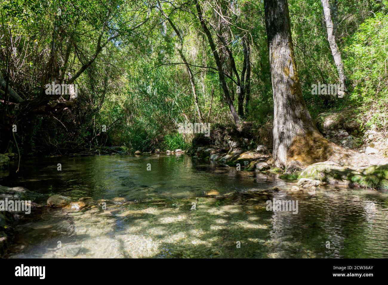 River Majaceite between the towns of El Bosque and Benamahoma on the  province of Cadiz, Spain Stock Photo - Alamy