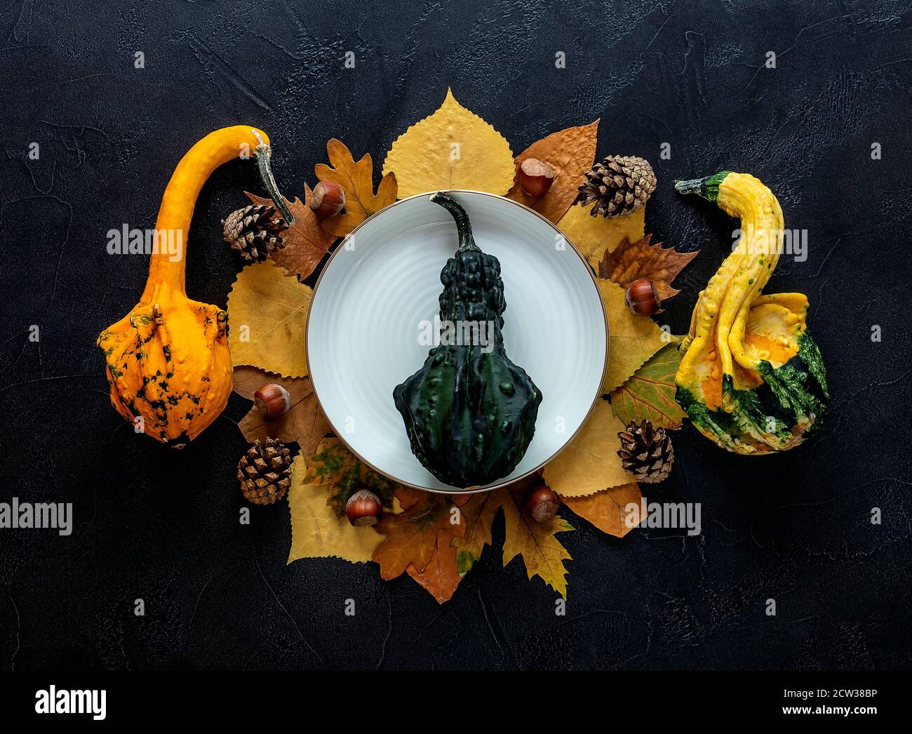 Autumn and Thanksgiving day table setting with fallen leaves, pumpkins, empty white plate on the dark background Stock Photo