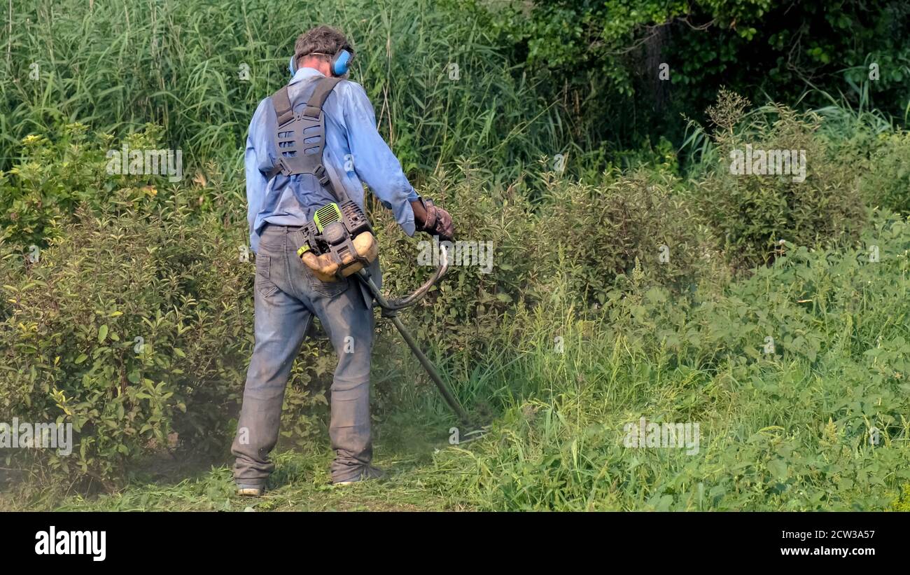 Petrol brush cutter. Man in overalls, protective glasses, soundproof headphones and work gloves mows the grass with gas cutter. Full-length rear view. Stock Photo