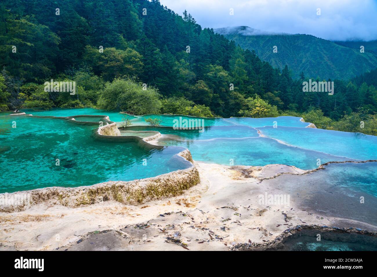 The turquoise color pools in Huanglong Valley, in Sichuan province, China. Stock Photo