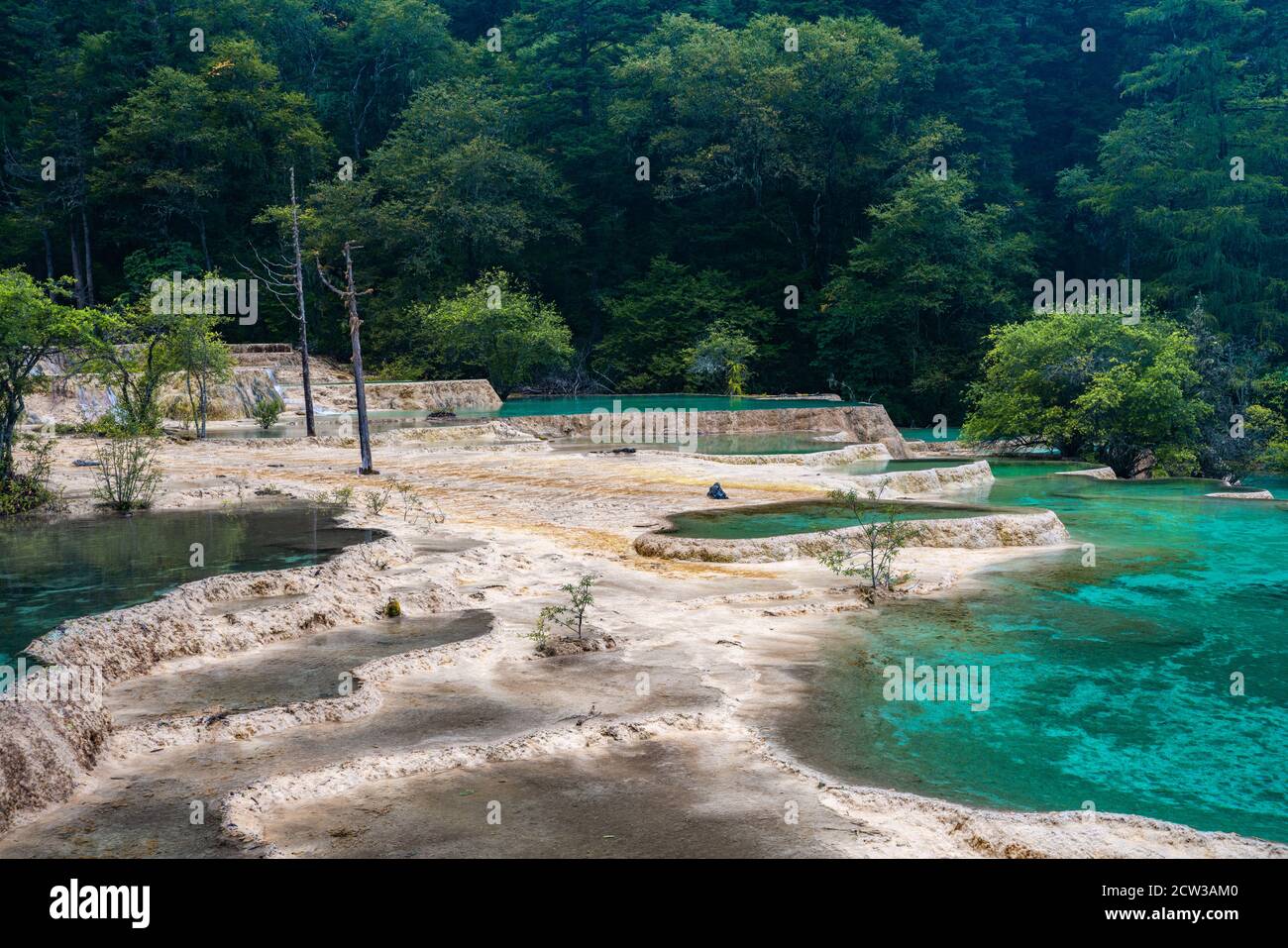 The turquoise color pools in Huanglong Valley, in Sichuan province, China. Stock Photo