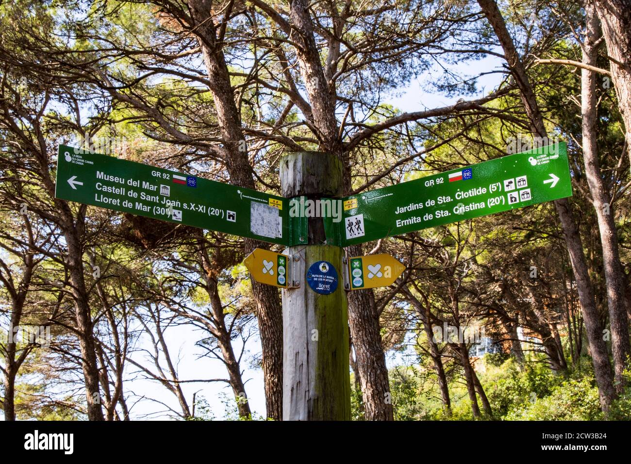 The GR92 coastal path that runs through pine forest near Lloret de Mar on the Costa Brava, Spain Stock Photo