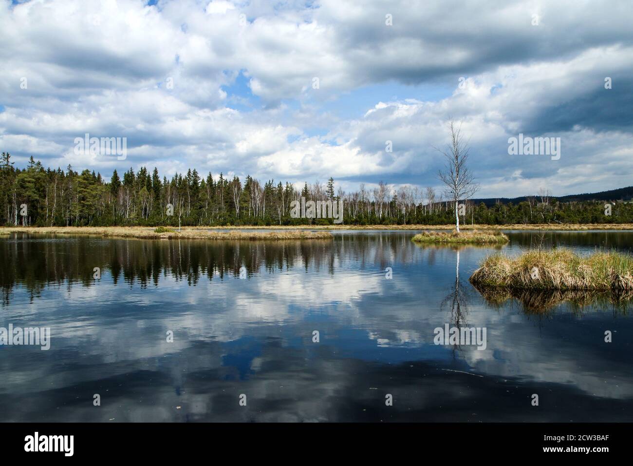 The protected natural area in Šumava national park in Czech Republic called 'Chalupská slať' ( cottage peat bog). Stock Photo