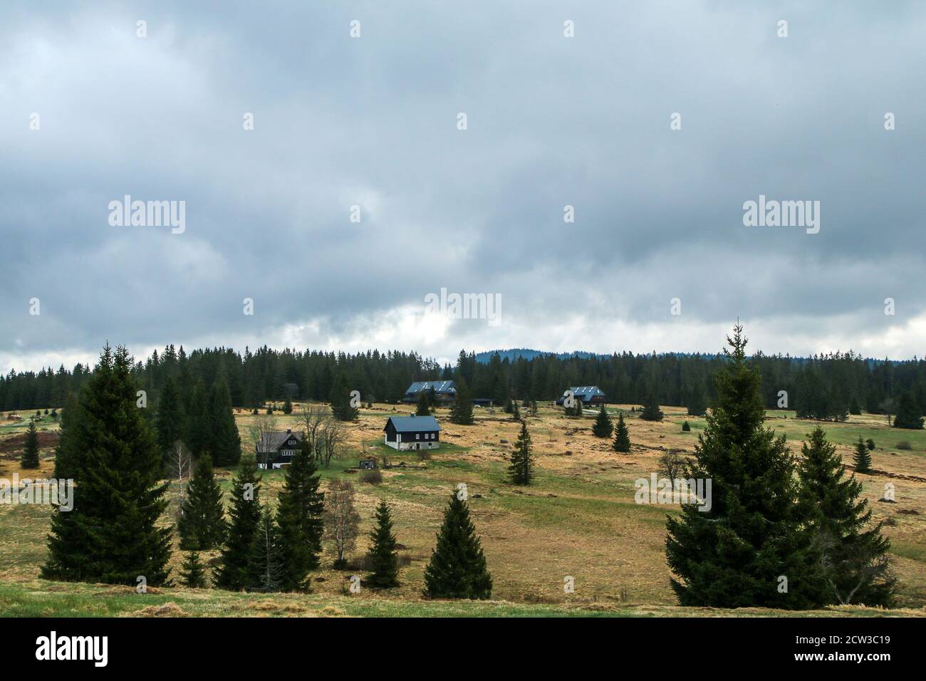 The cottages in the fields and mountain meadows by the Czech town of Horská Kvilda in Šumava national park. Stock Photo