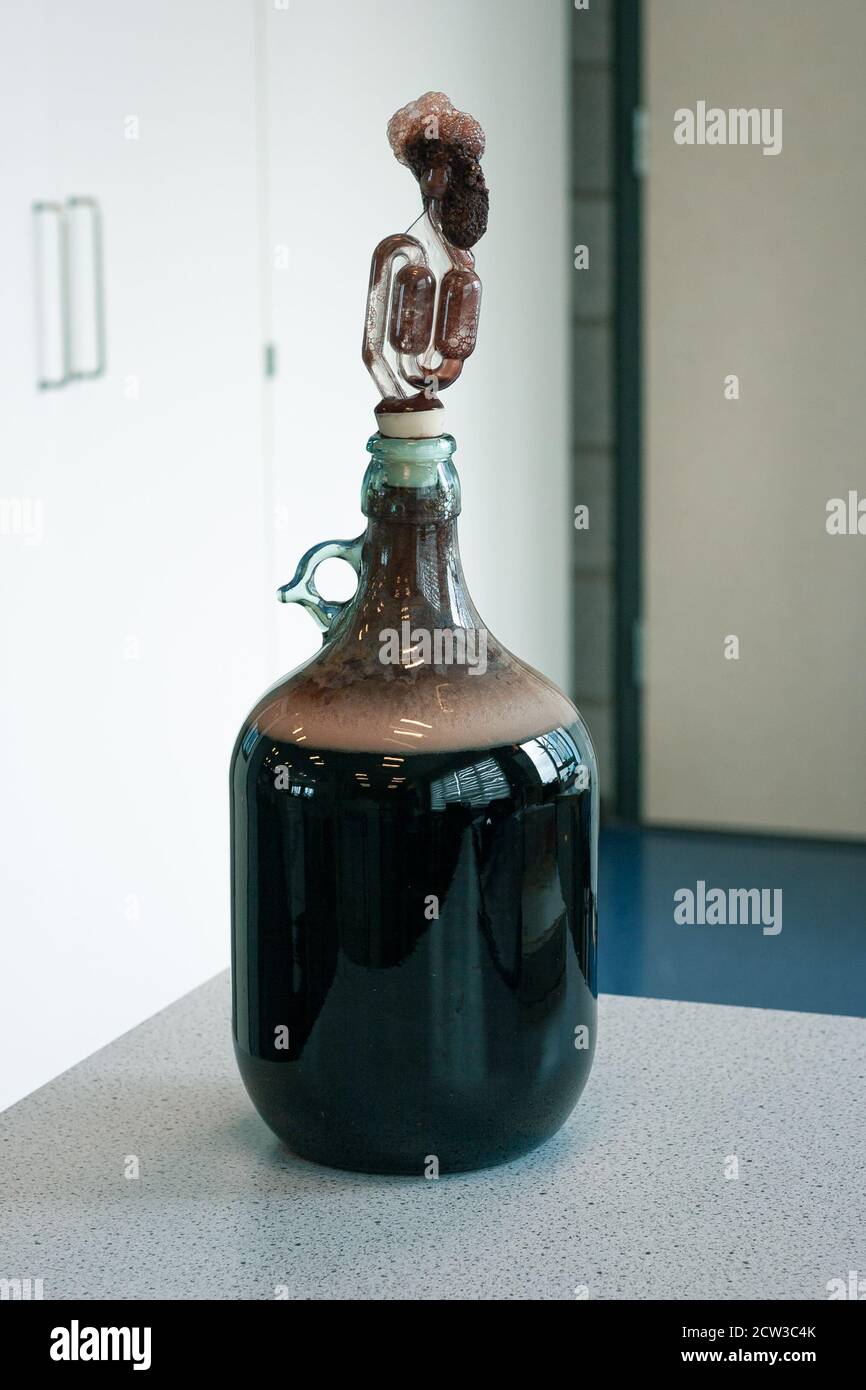 Wine and wine making hires stock photography and images Alamy